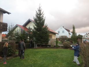 Kindergartennachten - Der neue Kastanienbaum
